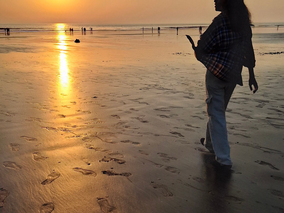 Dandi Beach-纳夫萨里必去景点