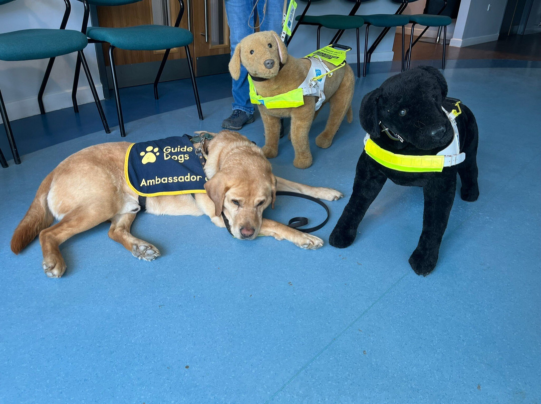 Guide Dogs - National Centre-Bishops Tachbrook必去景点