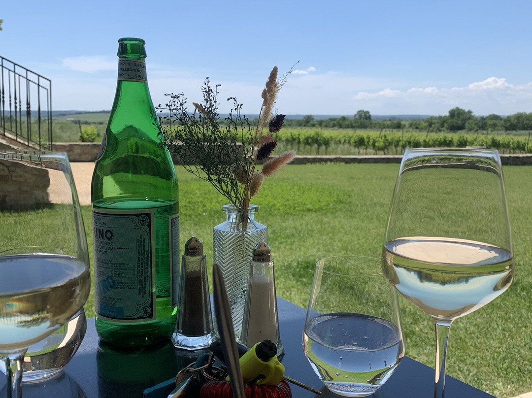 Domaine De Privadière主图