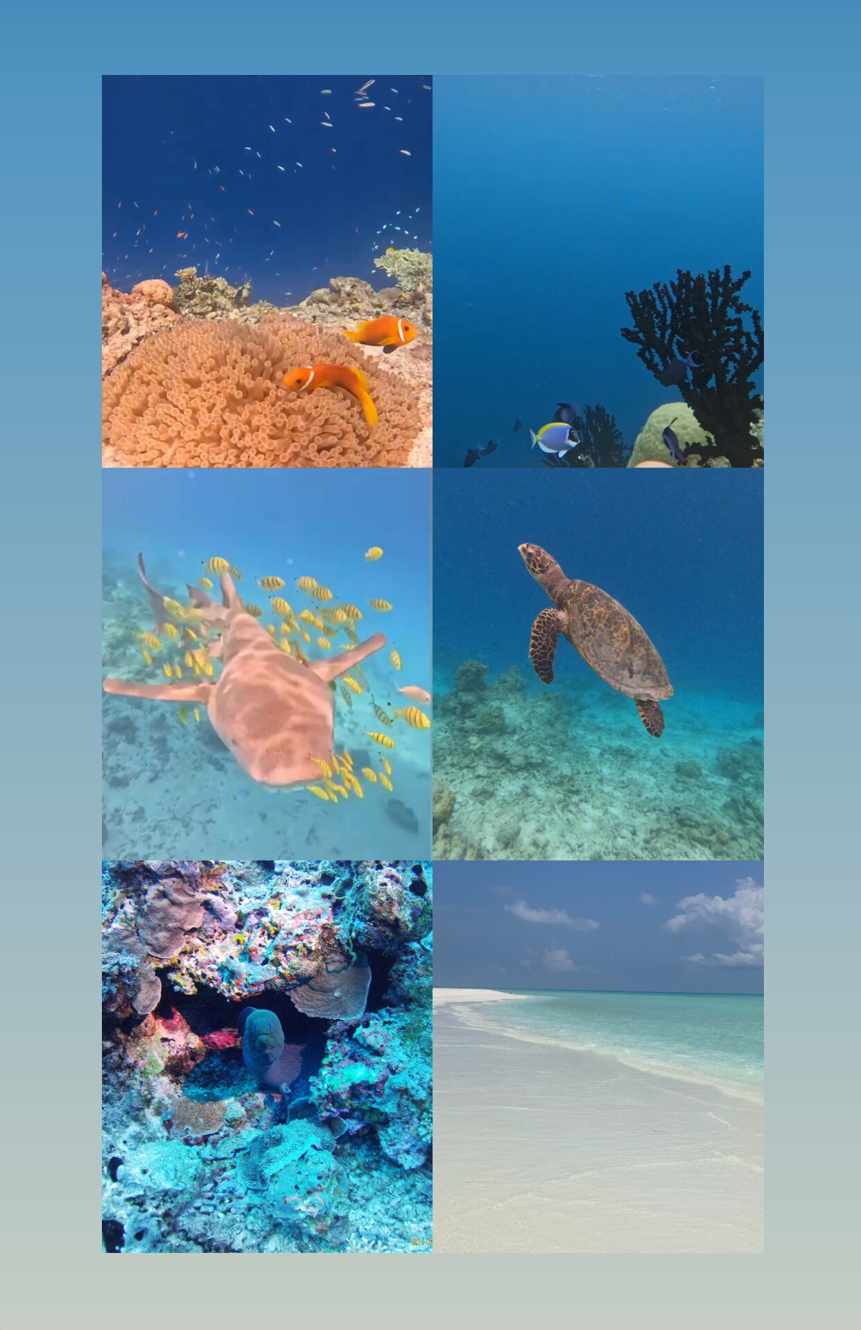 Boaveli Maldives Guesthouse-官方