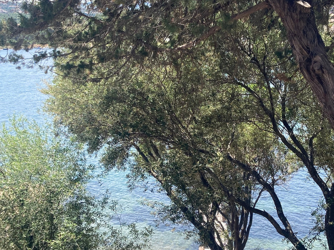 7Pines Resort Sardinia主图