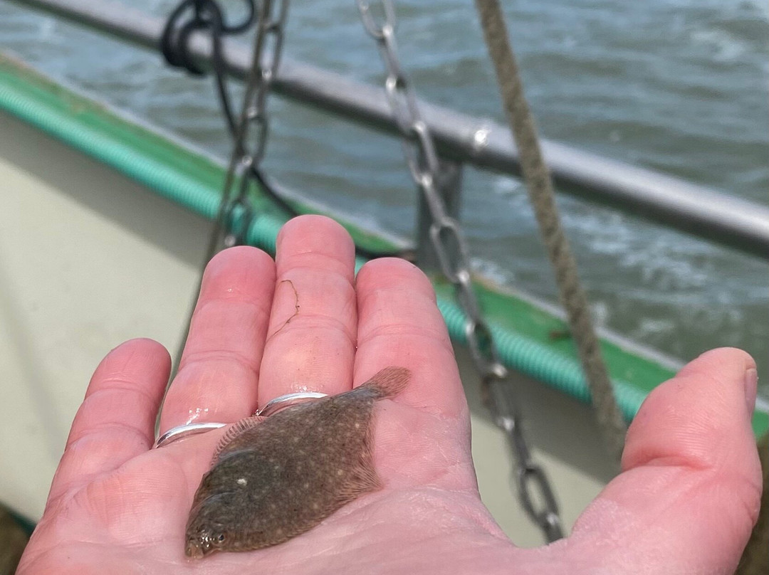 Krabbenfischen mit der MK Moewe-Bensersiel必去景点