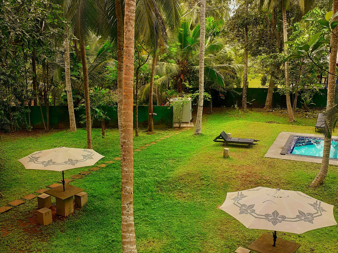 Chandra Villa Ayurveda Resort主图