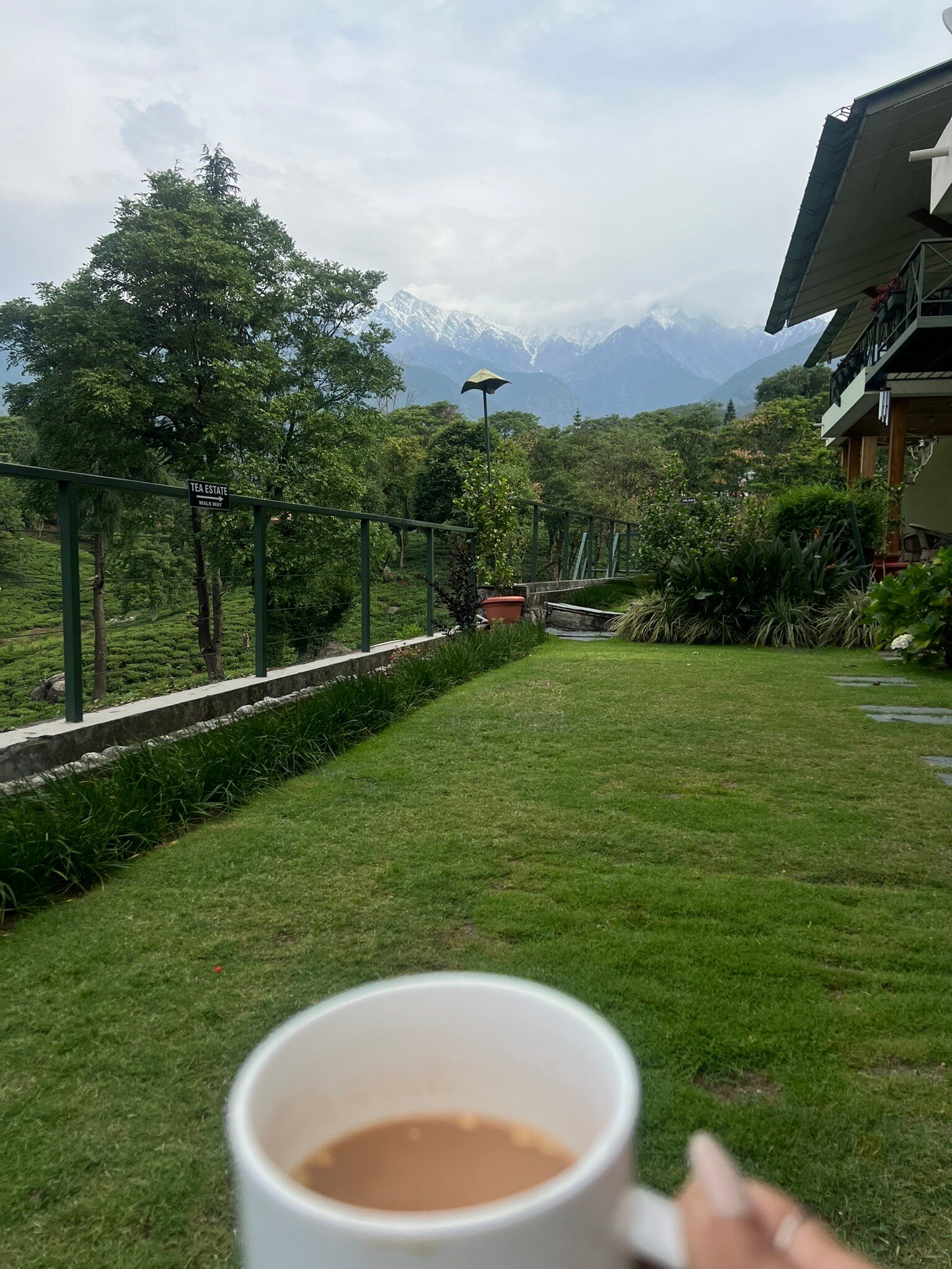 Lamrin Norwood Green Palampur-官方