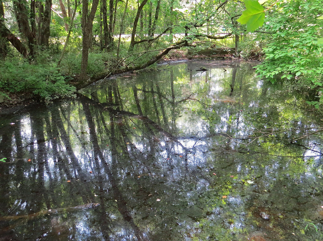 Environmental Education Center at Lord Stirling Park景点图片