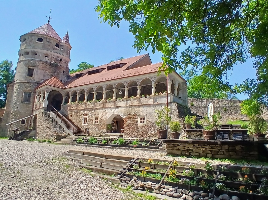 Bethlen Castle-Cris必去景点