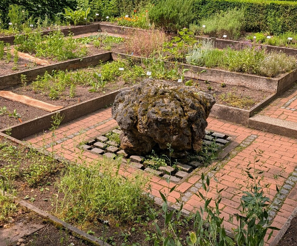 Botanischer Garten景点图片