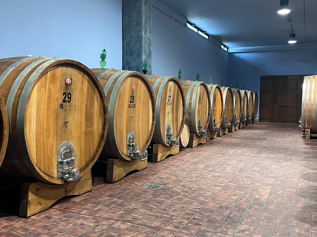 Tenuta Fanti景点图片