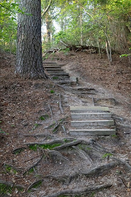 Maurice River Bluffs  Nature Preserve景点图片