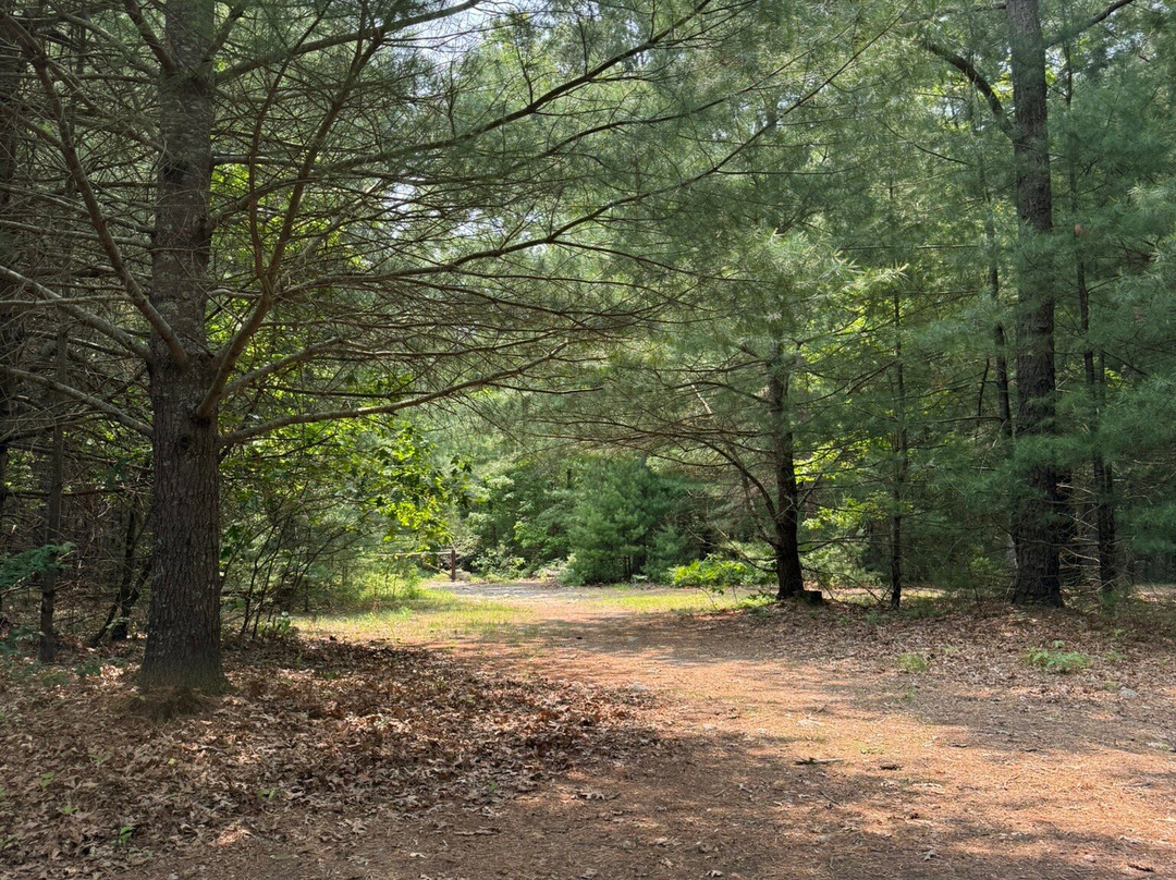 Freetown-Fall River State Forest-Assonet必去景点