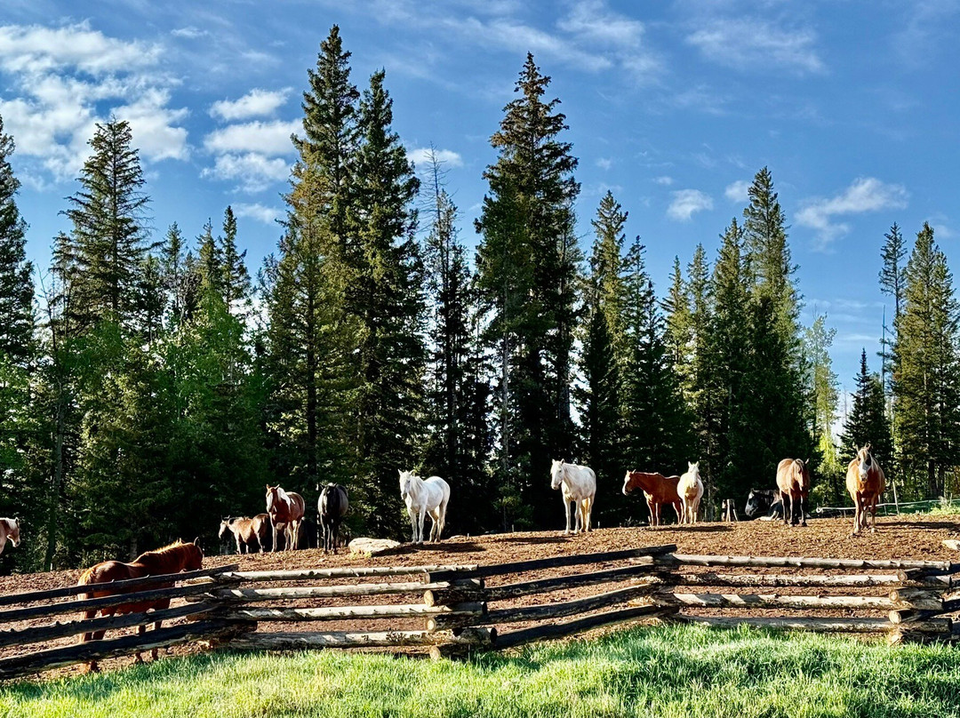Latigo Ranch-Kremmling必去景点