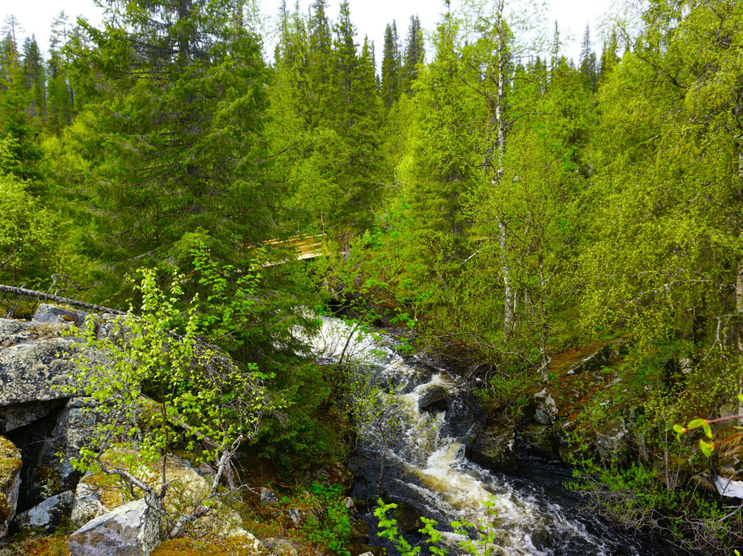 Pyhäjoen Luontopolku-Muonio必去景点