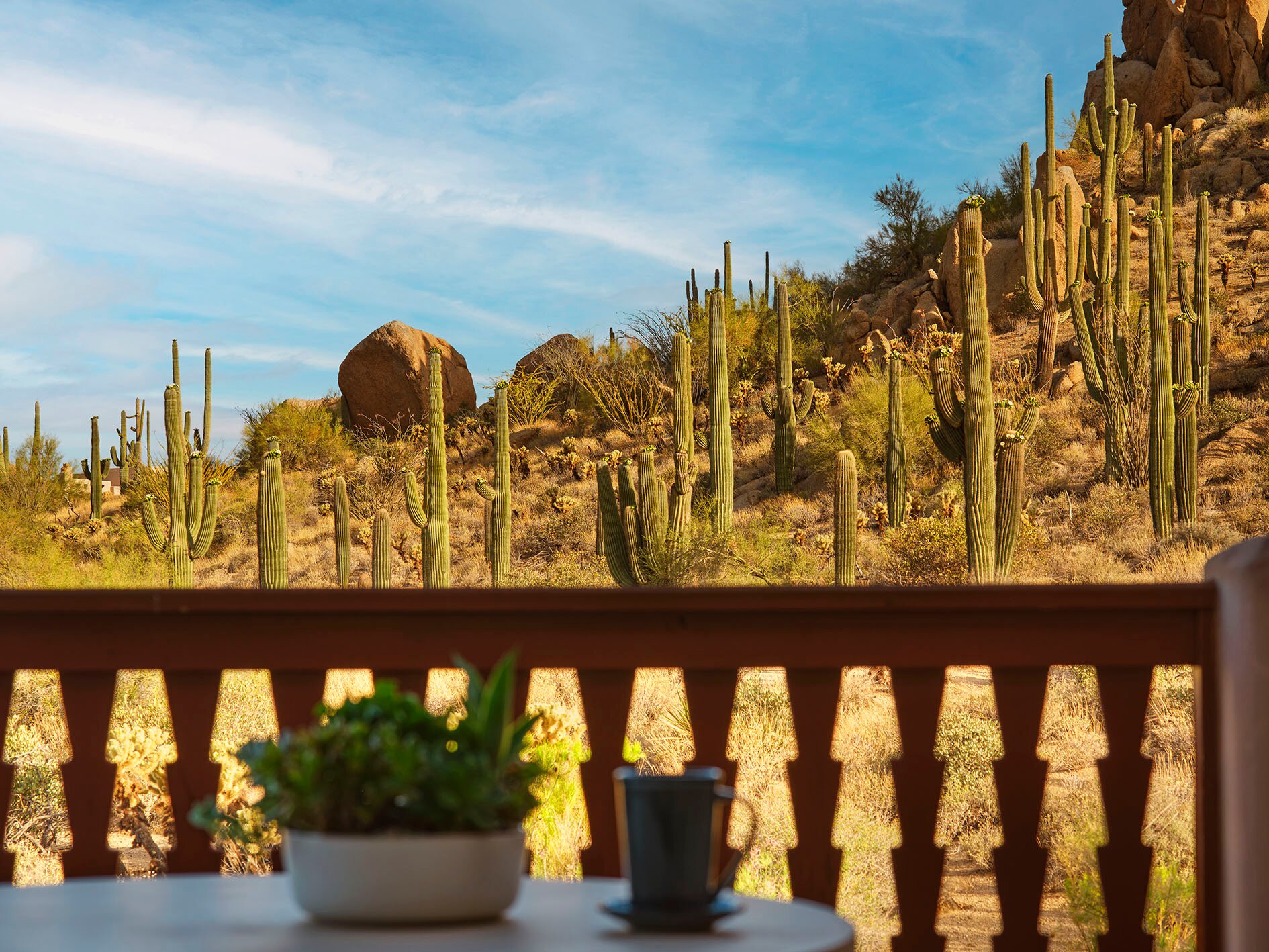 Four Seasons Resort Scottsdale at Troon North-客卧