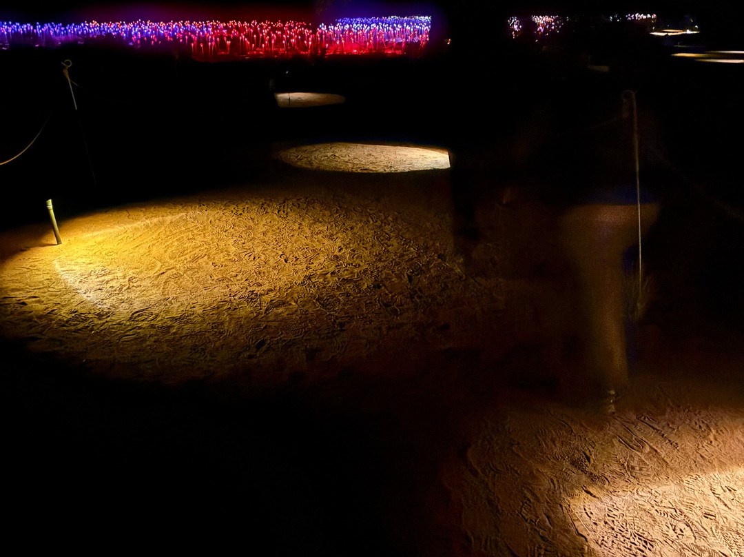 Field of Light-乌鲁鲁-卡塔丘塔国家公园必去景点