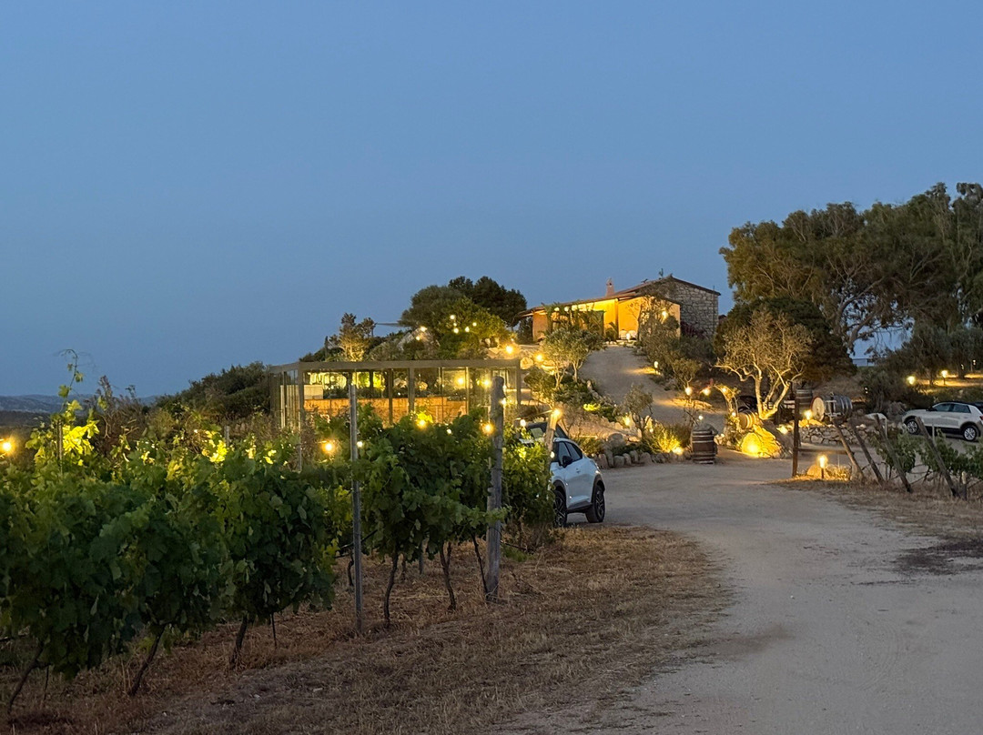 Petra Bianca Tenuta Agricola Biologica主图