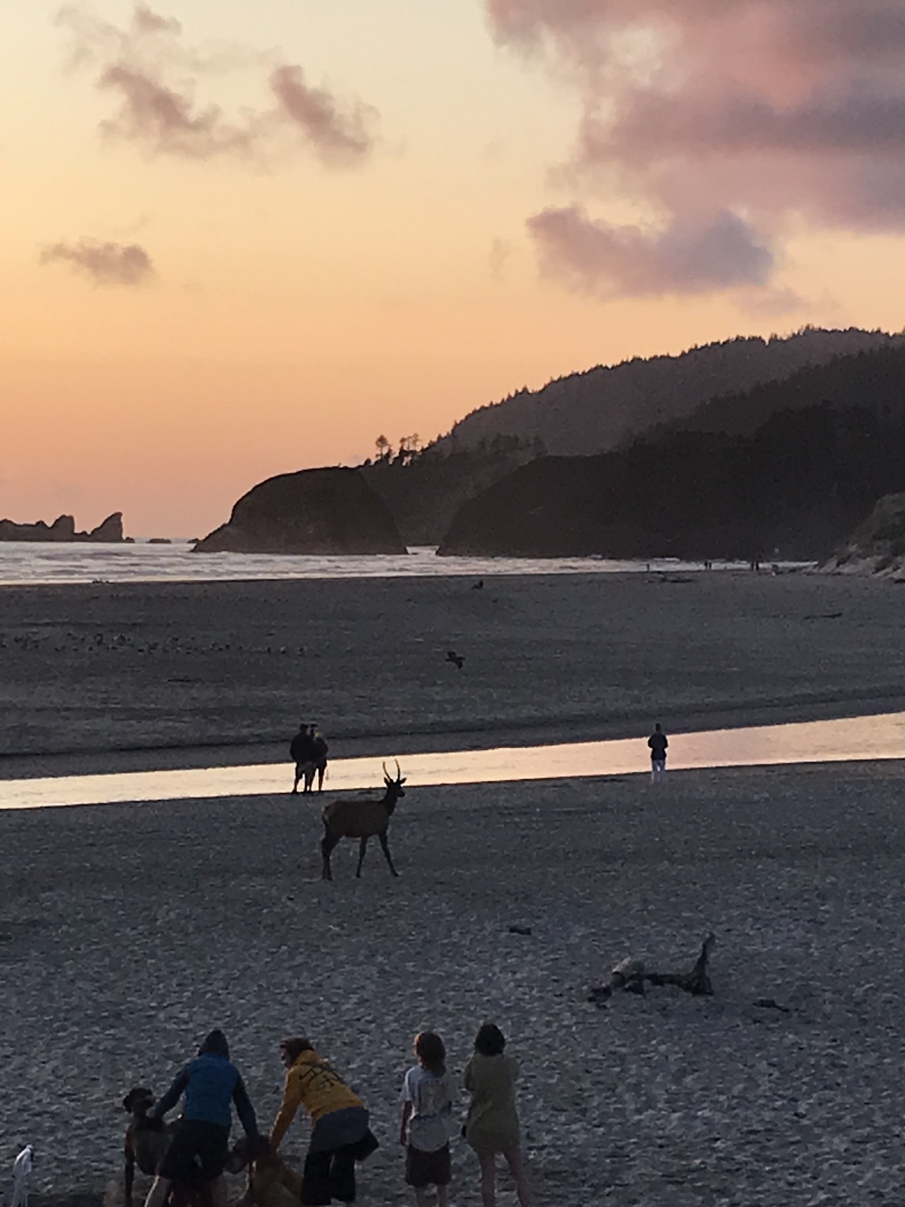 Land's End at Cannon Beach-浴室