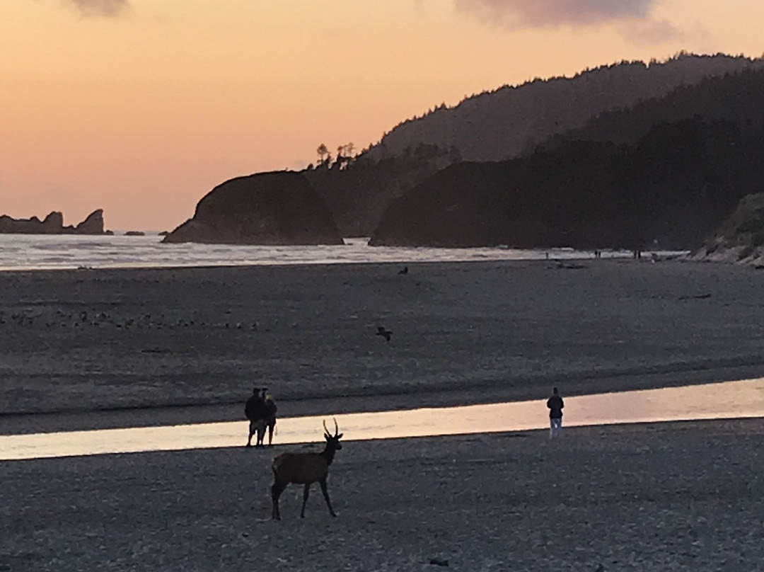 Land's End at Cannon Beach主图