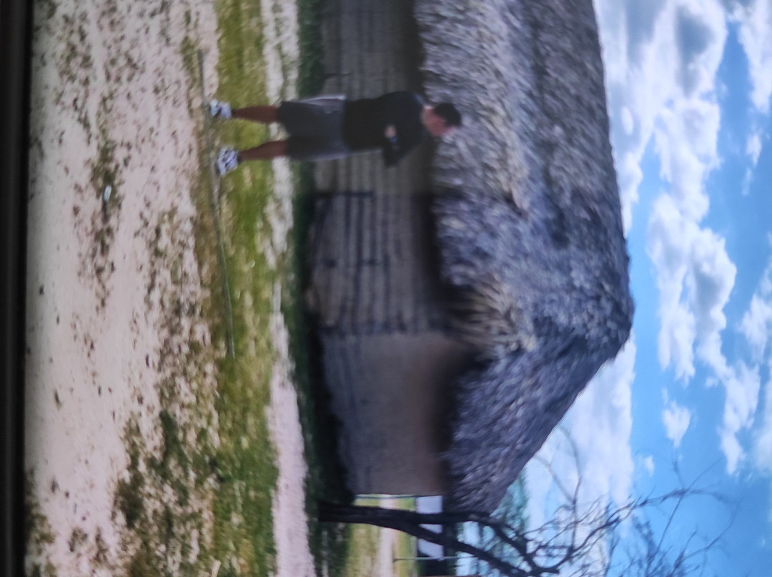 Tours Ramiro Vanegas