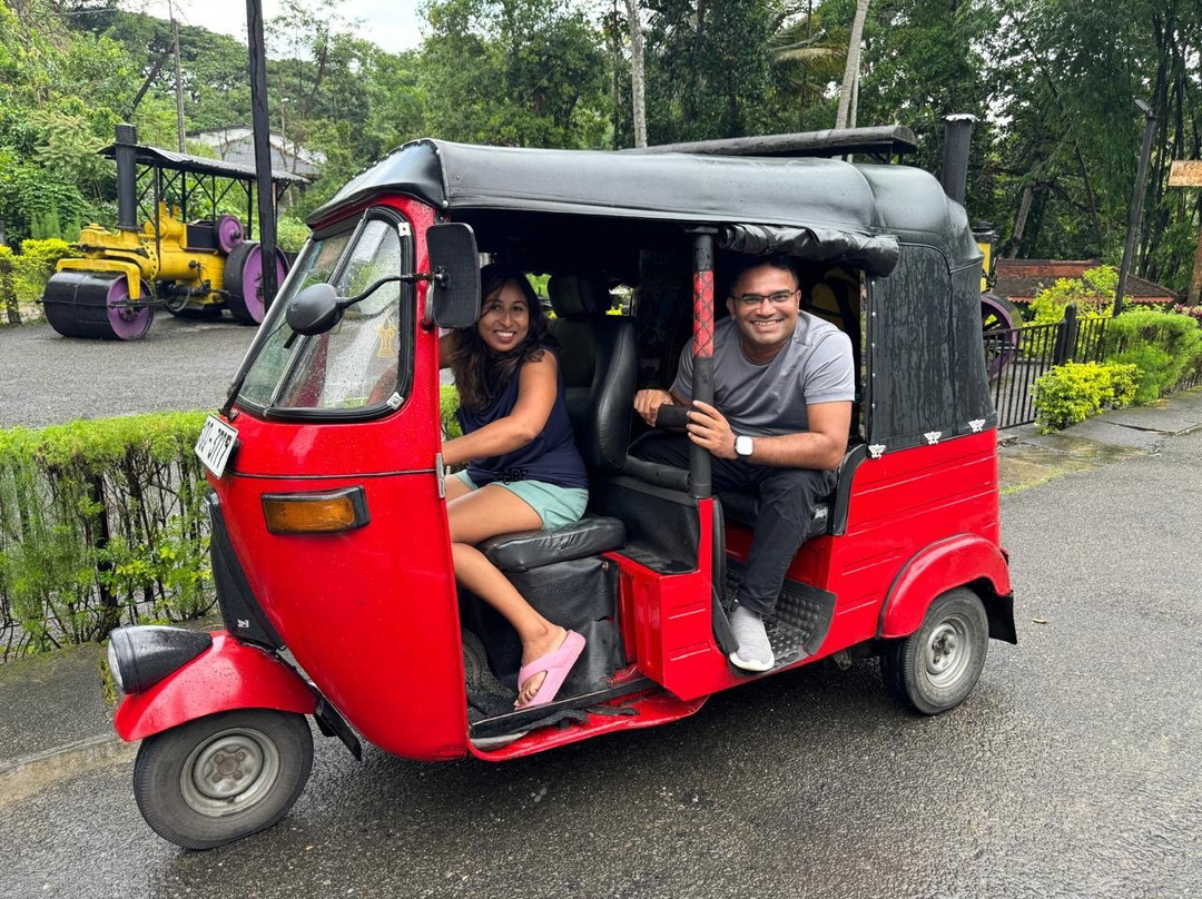 Private Tour Driver Sri Lanka-康提必去景点