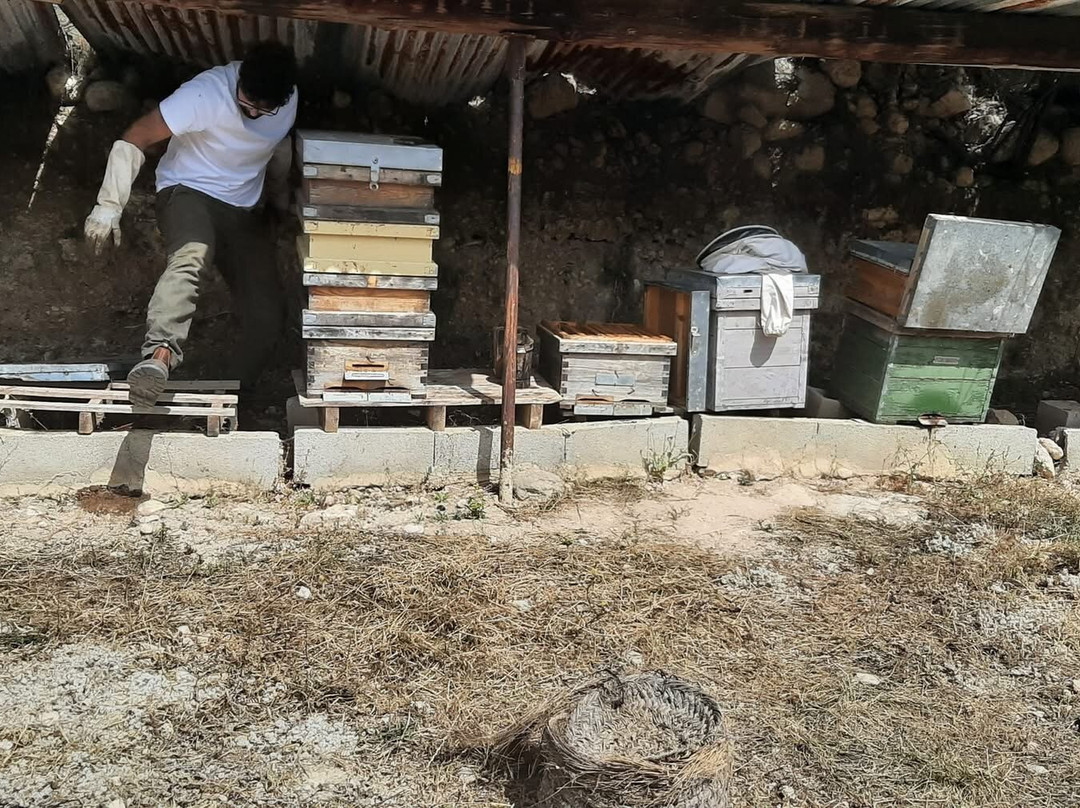 Guatazales experiencias-Bullas必去景点