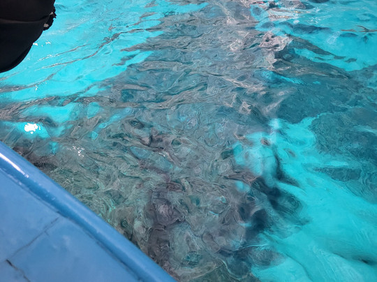 Conny's Boat tour-索伦托必去景点