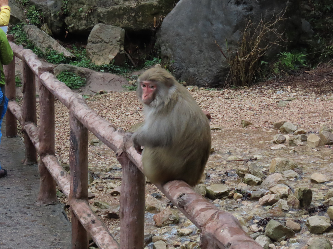 Ten Miles Gallery-张家界市必去景点