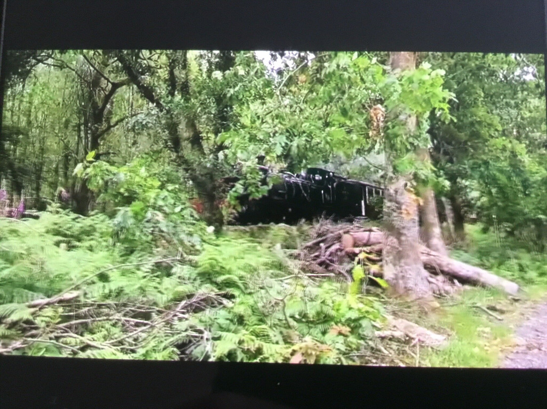 Beddgelert Forest-Beddgelert必去景点