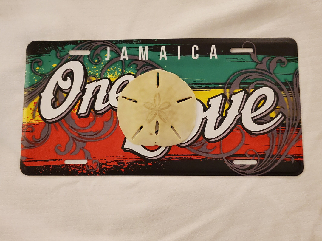 Scubacaribe Montego Bay-蒙特戈贝必去景点