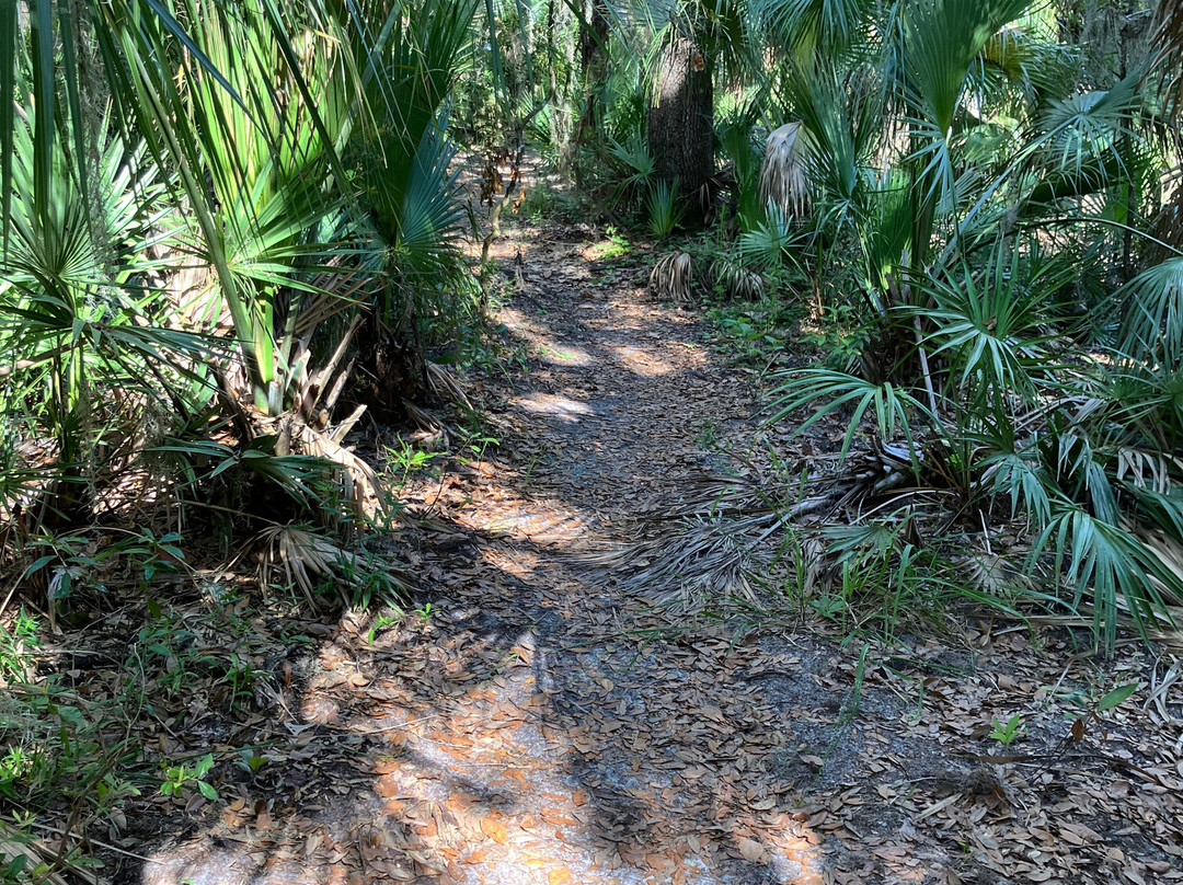 Lake Beresford Park-迪兰必去景点
