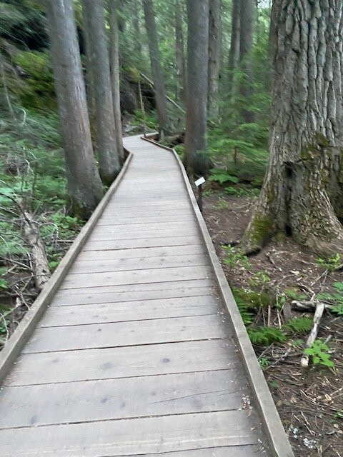 Avalanche Lake-冰河国家公园必去景点