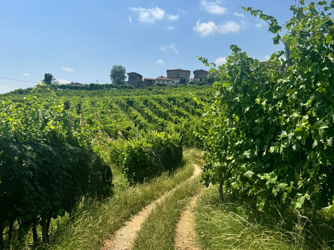 Rive Del Bacio - Cantina E Ospitalità-Valdobbiadene必去景点