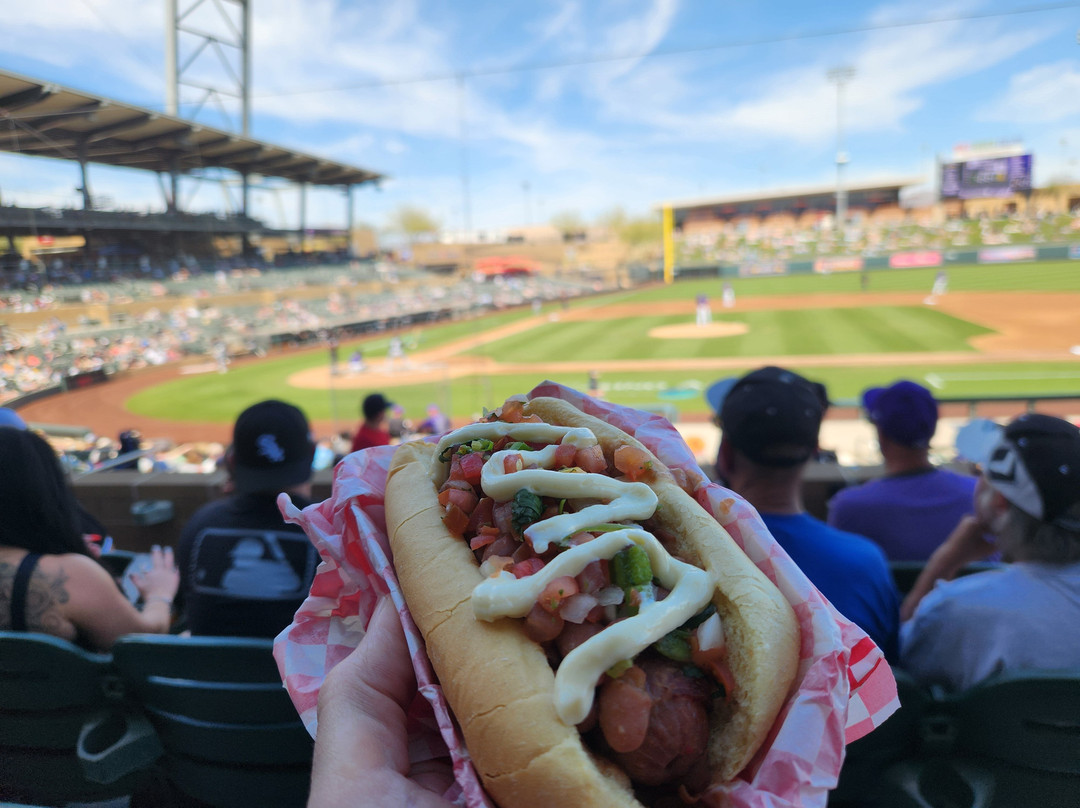 Salt River Fields at Talking Stick-斯科茨代尔必去景点