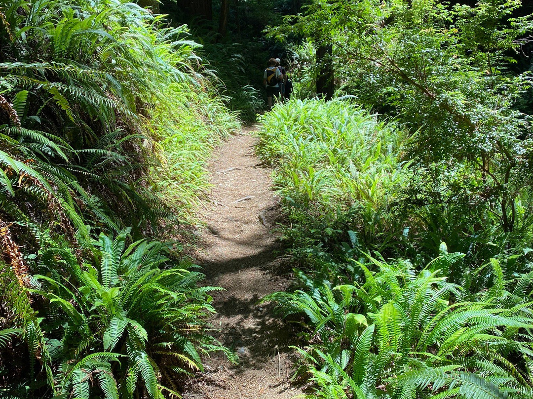 Prairie Creek Redwoods State Park-Orick必去景点