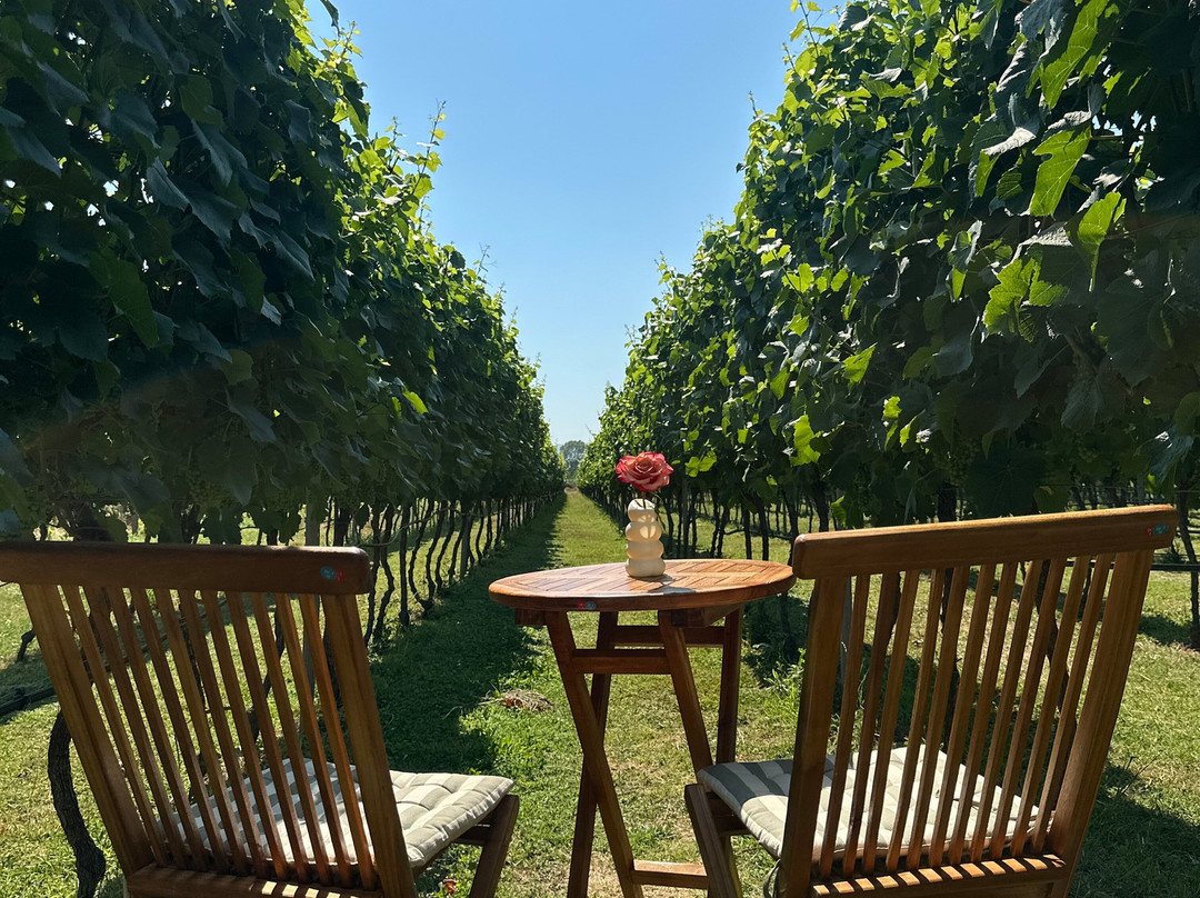 Monte Grande Winery-波德戈里察必去景点