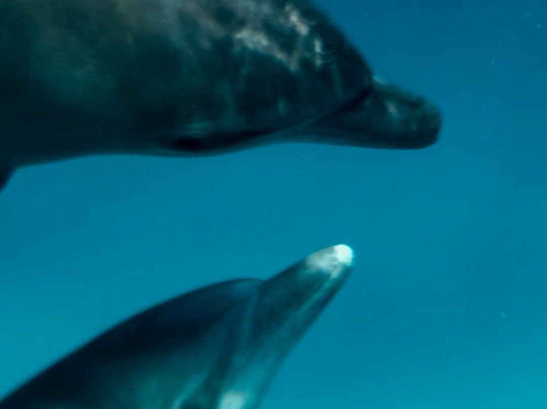 Zanzitaxi-桑给巴尔市必去景点