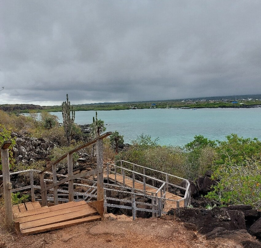 Playa de los Perros-阿约拉港必去景点
