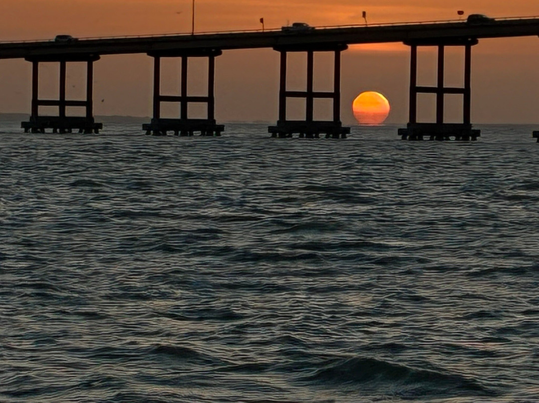 Osprey Cruises-Port Isabel必去景点
