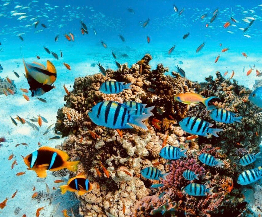 Blue Sharm-沙姆沙伊赫必去景点