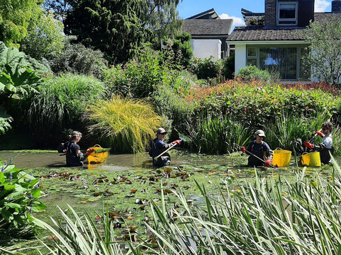 Beth Chatto's Plants & Gardens-科尔切斯特必去景点