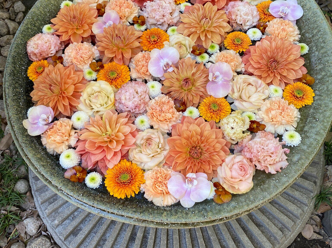 Gyodahachiman Shrine-行田市必去景点