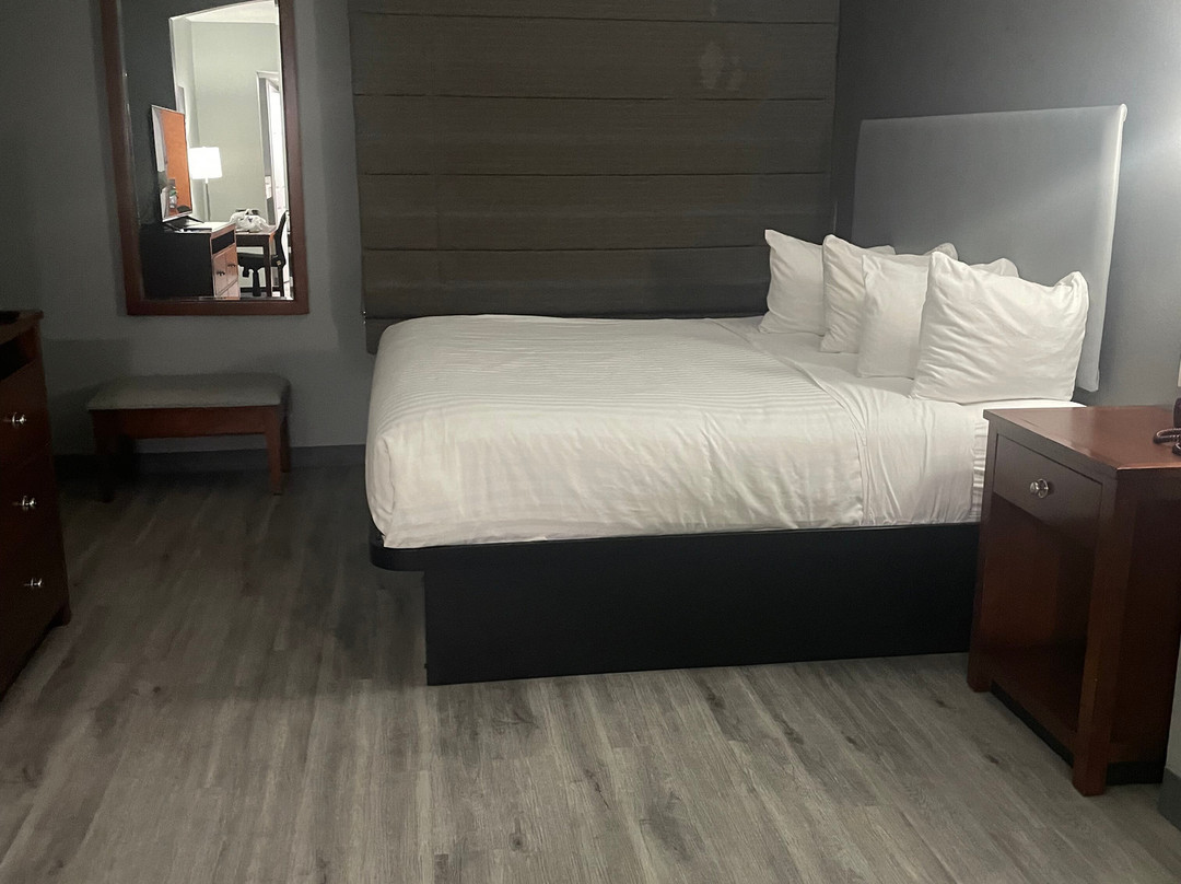 塔斯卡卢萨温盖特温德姆酒店主图