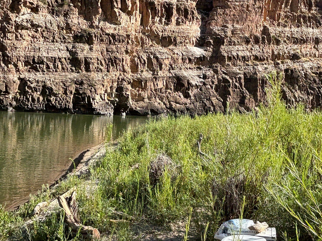 Dinosaur River Expeditions-Vernal必去景点