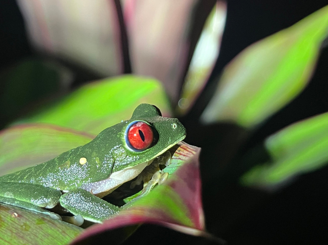 Casita y Tours Happy Feet主图