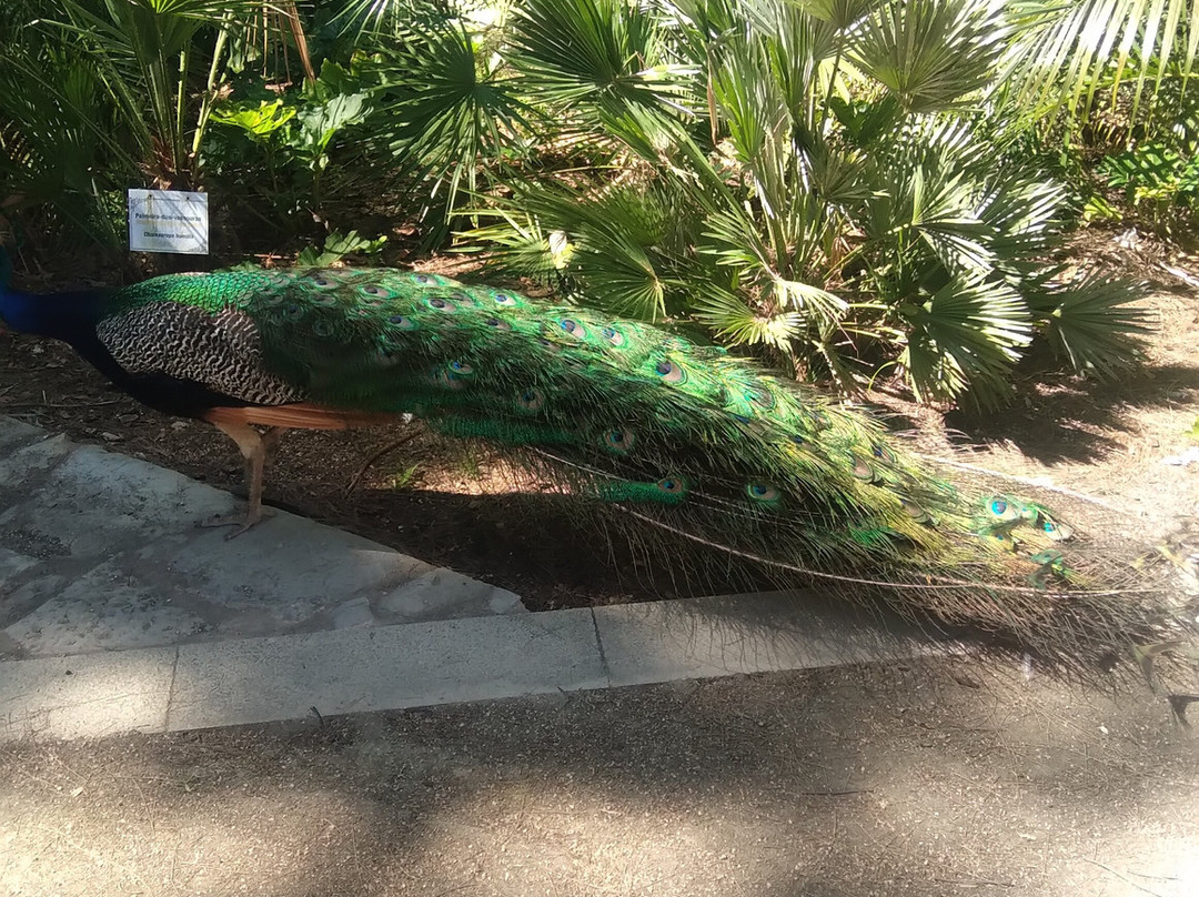 Jardim da Alameda João de Deus-法罗必去景点