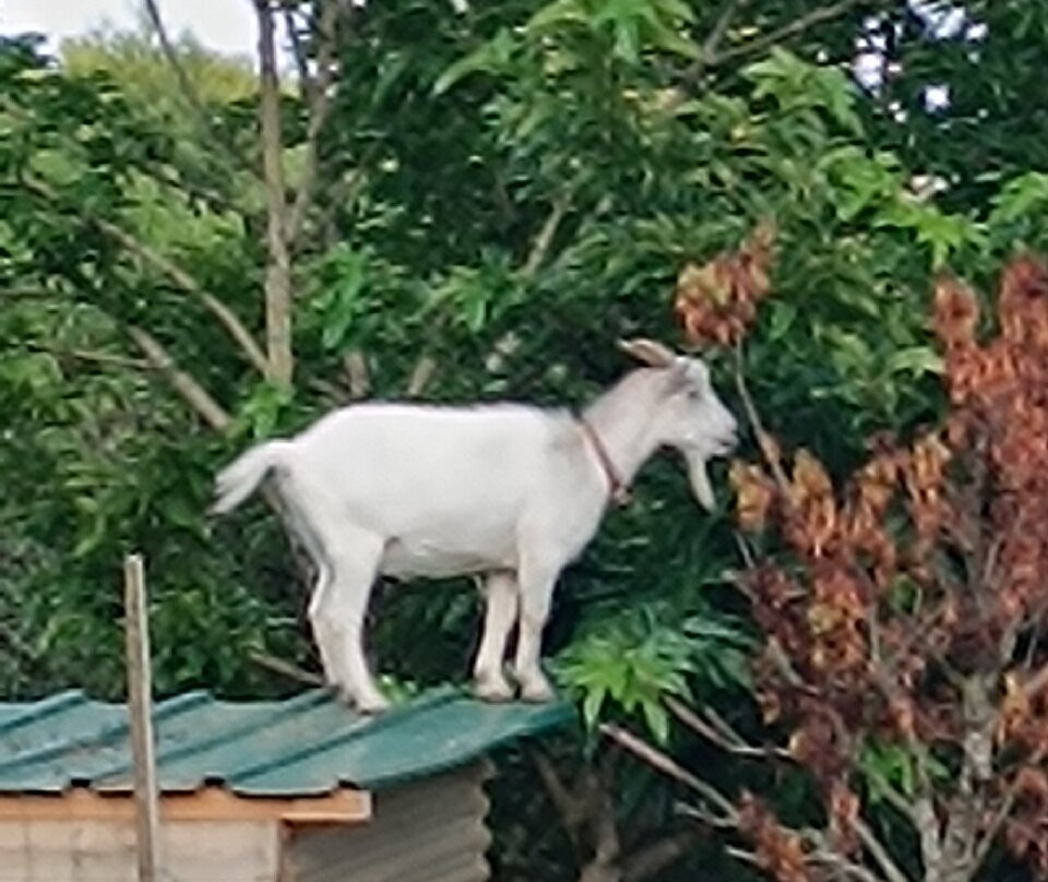 Moulin De Janlard主图