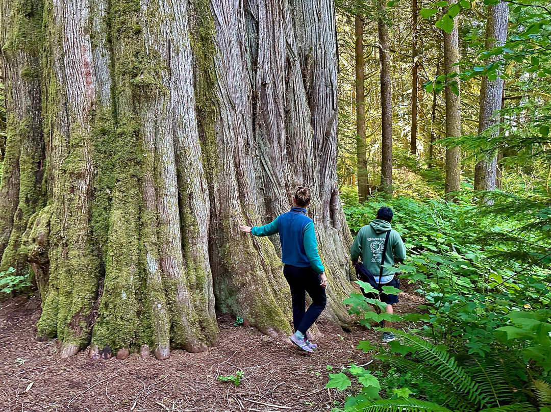 Nan Adventure Tours-Bella Coola必去景点