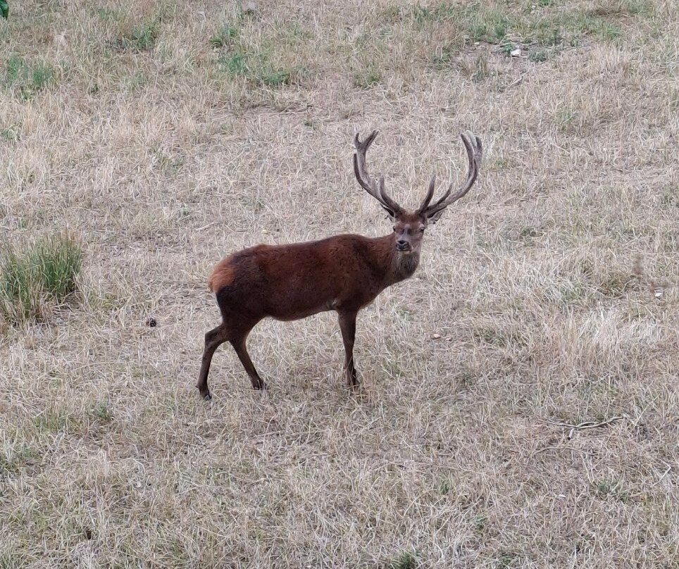 Prieuré Saint-Michel de Grandmont-Soumont必去景点