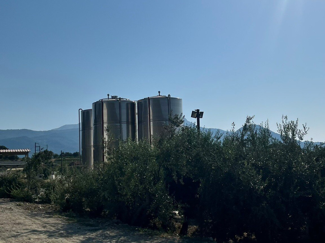 Vakakis Winery-Karlovasi必去景点