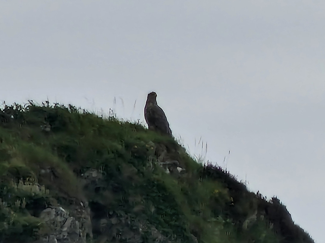 Jura Boat Tours-Isle of Jura必去景点