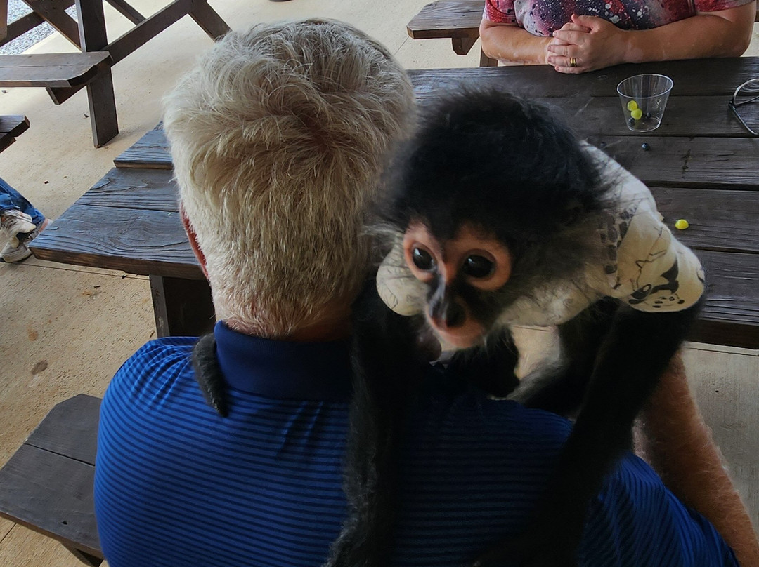 Ocoee Riverside Farm